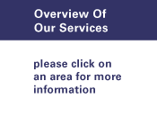 Overview of Our Services
